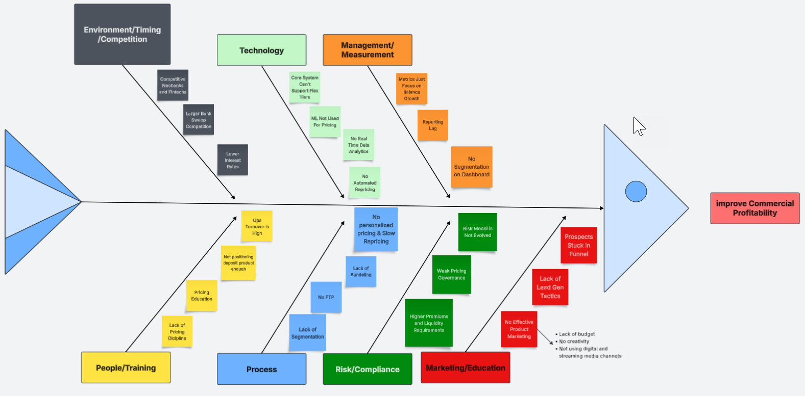 Completed Fishbone Diagram